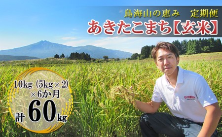 【先行予約】《定期便 6か月》 あきたこまち 10kg  玄米 あきたこまち R8年産