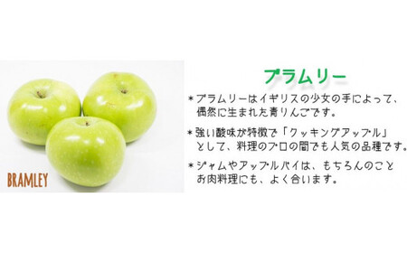 りんご ブラムリー 家庭用 5kg 山岸ファーム 沖縄県への配送不可 2026年8月中旬頃から2026年8月下旬頃まで順次発送予定 令和8年度収穫分 信州 果物 フルーツ リンゴ 林檎 長野 予約 農
