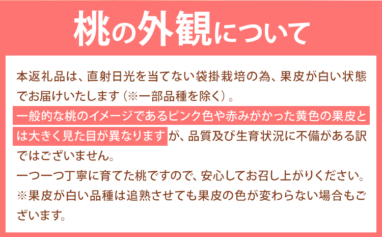 【令和7年度出荷 先行予約】桃 岡山の桃 約1kg(3~5玉前後)《2025年6月下旬-9月上旬頃出荷》 ご家庭用 訳あり 白桃 岡山 はくとう スイーツ フルーツ 果物 デザート 旬 モモ もも 先