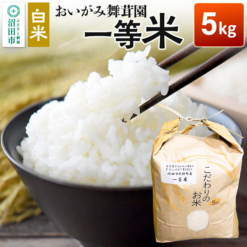 【ふるさと納税】令和7年産 おいがみ舞茸園 一等米 白米 精米 5kg