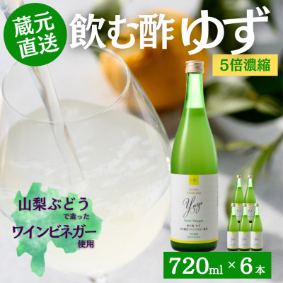 
お酢のイメージを変える!ドリンクビネガーゆず6本セット〈濃縮タイプ飲む酢/山梨産ビネガー使用〉【1488898】
