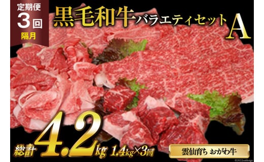 定期便 3回 牛肉 雲仙育ち おがわ牛 バラエティーセットA 総計4.2kg(1.4kg×3回) [焼肉おがわ 長崎県 雲仙市 item1600] 黒毛和牛 上ロース モモ 切落とし スライス 薄切り肉 冷凍