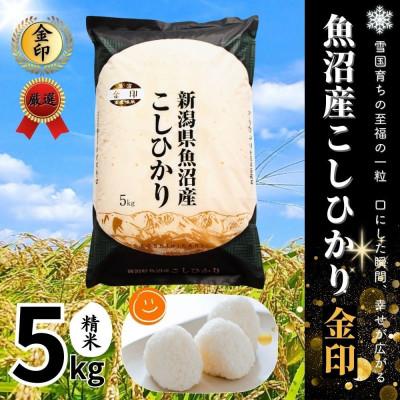 ふるさと納税 津南町 【令和7年産】魚沼産コシヒカリ金印(精米)5kg