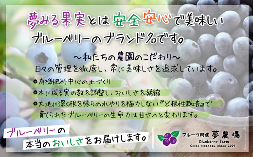 ＜有機栽培ブルーベリー使用＞夢みる果実ブルーベリー酒　300ml×2本 ふるさと納税 ブルーベリー ブルーベリージュース アントシアニン 千葉県 木更津市 送料無料 KAA002