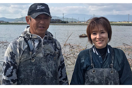 【ミシュランシェフも認めたれんこん】田島屋れんこん 約3kg（泥付き） /新鮮なれんこんを産地直送！ れんこん 佐賀 白石れんこん 泥付きれんこん 夏はシャキシャキれんこん 冬はホクホクれんこん おで