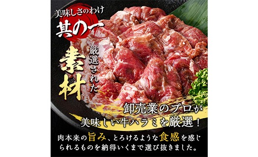 ＜定期便・全6回 (2か月ごとの発送)＞塩味 牛ハラミ(総量3.6kg) 定期便 小分け 牛肉 肉 ハラミ 牛はらみ 味付け 焼肉 塩 BBQ 冷凍 大分県 佐伯市【DH325】【ネクサ】