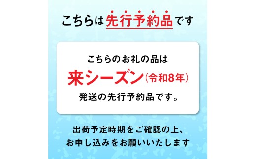先行予約品です！