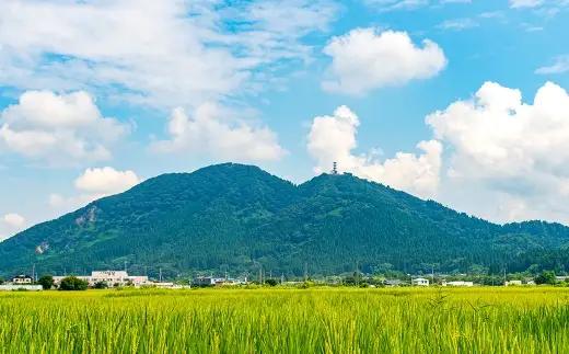 【 数量限定 】 令和7年産米五城目産 あきたこまち 新米切替前 在庫限り 5kg × 2袋 （ 10kg ） お米 米 こめ コメ 白米 精米 白飯 飯 ご飯 おにぎり 国産 秋田県産 ブランド米 