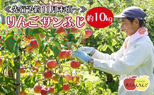 家庭用 りんご サンふじ 約10㎏ ≪先行予約11月下旬頃～順次発送≫