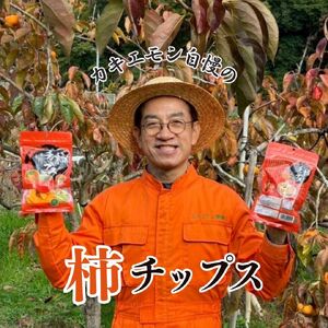 柿チップス 約80g×3袋 カキエモン 和歌山 無添加 保存料不使用 【kkem034】