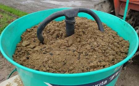 西さんちの特別栽培米 森のくまさん 白米 10kg 【2025年10月下旬～2026年4月下旬迄順次発送予定】 精米 お米 ご飯 国産