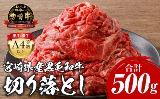 宮崎牛 切り落とし 500g_M243-018_02