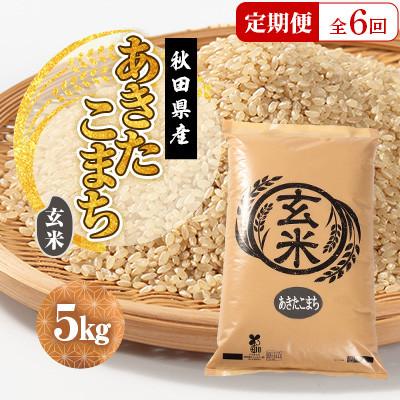 ふるさと納税 大潟村 【毎月定期便】あきたこまち 玄米 5kg全6回