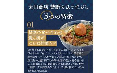 紀州南高梅ひつまぶし ６食セット（2食入り×３セット）《うなぎ》 / 和歌山 田辺市 国産 国産鰻 鰻 うなぎ ひつまぶし 梅ひつまぶし 紀州南高梅 南高梅 梅干し 梅 土用の丑の日 冷凍【ots01