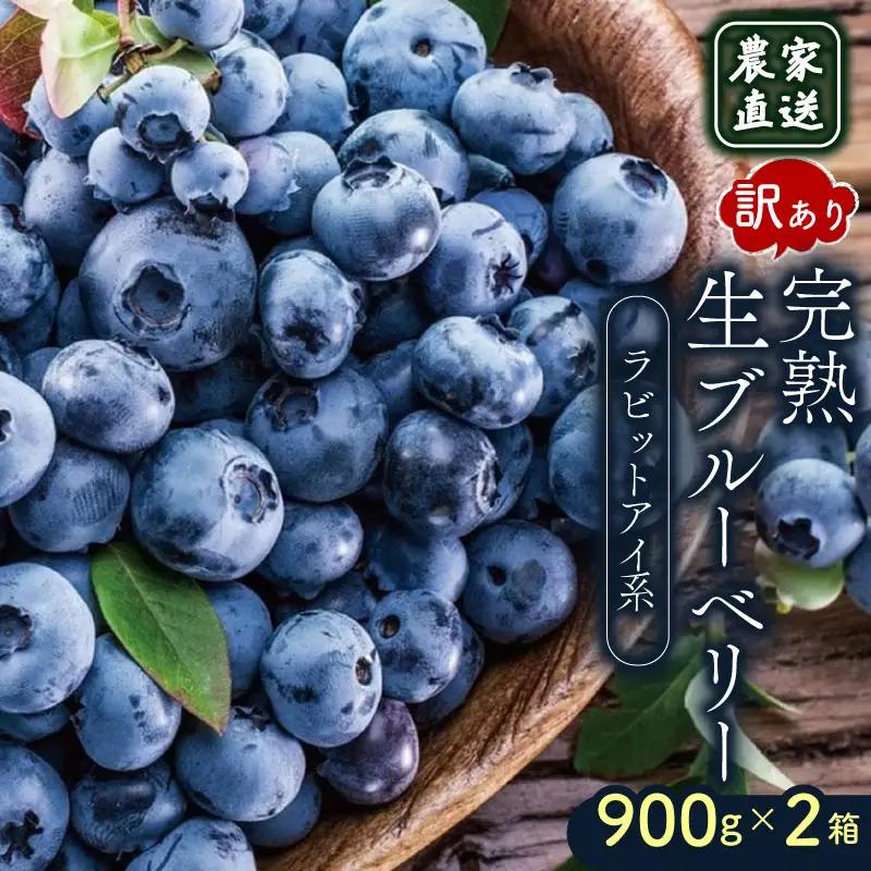 【先行予約】訳あり完熟生ブルーベリー ラビットアイ系 1800g (2027年発送) | フルーツ 果物 ベリー
