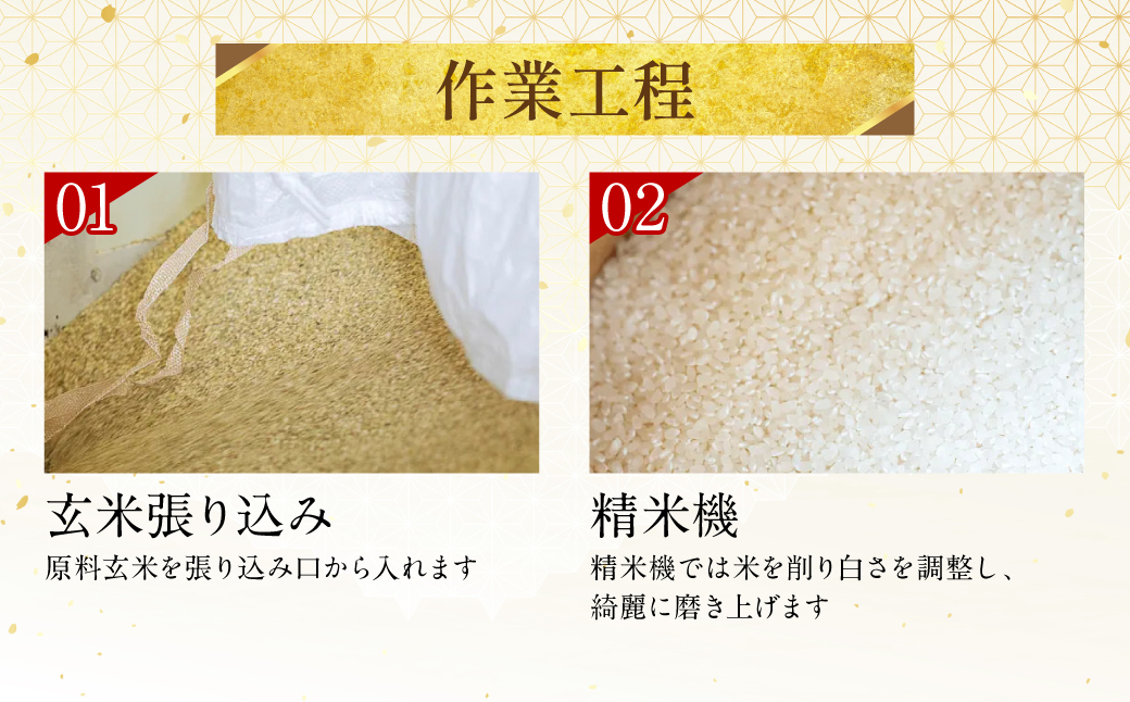 【先行予約】《令和7年産》くまさんの輝き 5kg×2袋 合計10kg  熊本県 八代市産 米 お米 精米 白米 国産 【2025年11月下旬より順次発送】