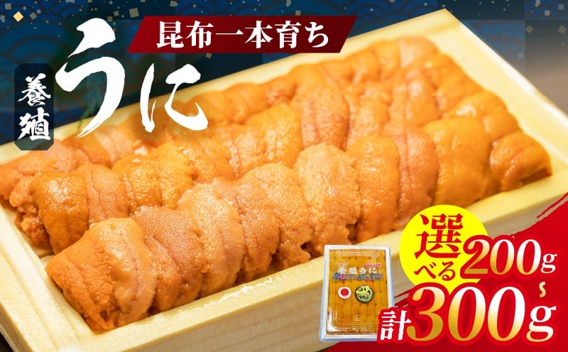 
                  【内容量が選べます!!】昆布一本育ち!!「浜中町産 養殖うに 折詰入り」_H0038-003-SKU
                