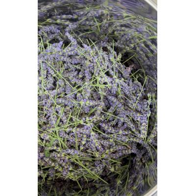 ふるさと納税 久喜市 久喜市菖蒲産ラベンダー精油・芳香蒸留水セット |  | 03