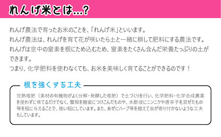 れんげ米の米粉(500g×3個)化学肥料等を使わず作った米が原料のため安心安全！