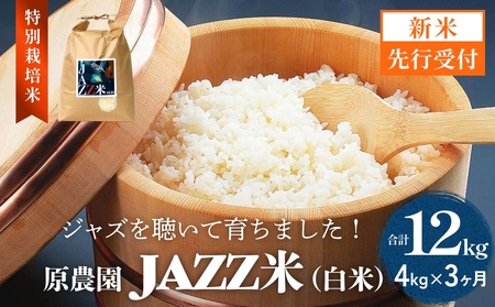 【令和8年産米先行受付】原農園 JAZZ米 白米 4kg ヒノヒカリ 3回定期便 米 お米  こめ コメ 定期 定期便 ご飯 ひのひかり 常温 大分県 大分 玖珠町 玖珠