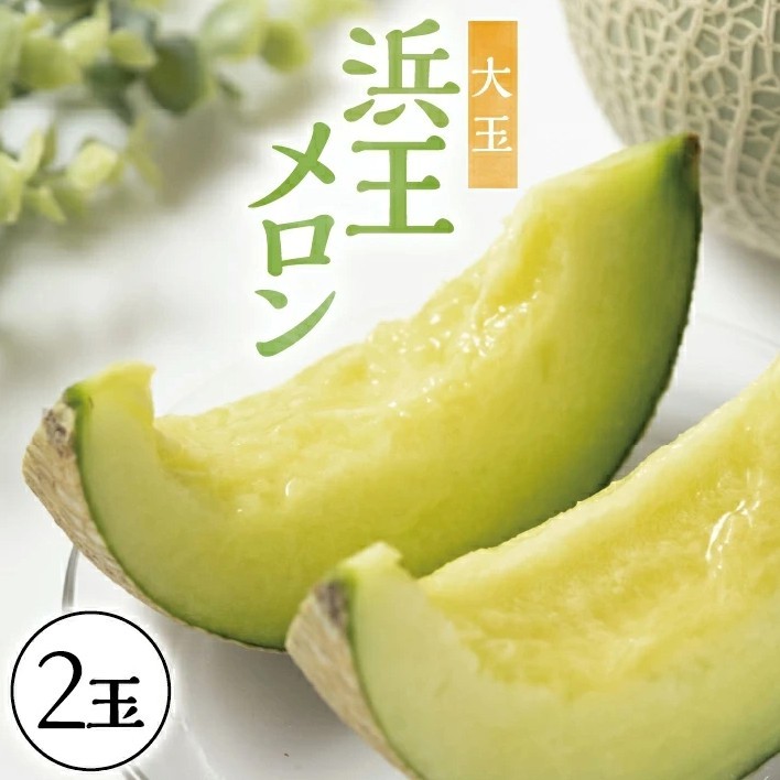 
                  酒田の果物専門店厳選　庄内砂丘 浜王メロン大玉　2.8kg以上(2玉入) SA2923
                