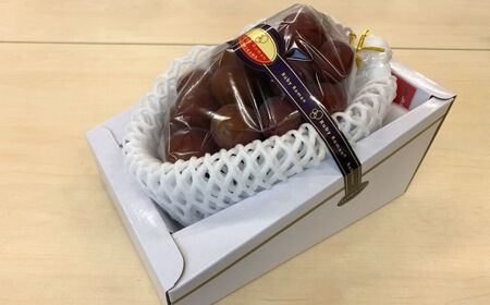 ルビーロマン 1房 600g~800g ルビーロマン ルビーロマン ルビーロマン ルビーロマン