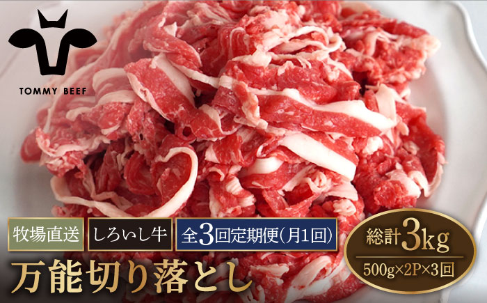 【牧場直送】【3回定期便】佐賀県産しろいし牛 万能切落し 1kg（500g×2パック） 【有限会社佐賀セントラル牧場】 [IAH133]