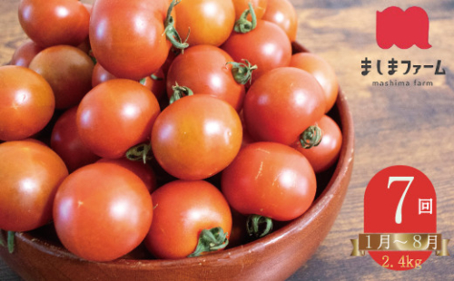 【2026年1月頃～8月頃発送】＜約2.4kg×7回 定期便＞訳あり アイメック フルティカ トマト＞ましまファーム ミニトマト フルーツトマト
