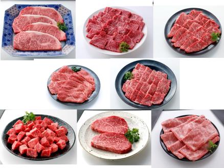伊万里牛あじわい定期便 6回便 ヒレステーキ 焼肉 すき焼き しゃぶしゃぶ 999-J954