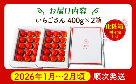 【先行予約】【1〜2月発送】王様のいちご いちごさん400g×2箱 HAF009 いちごいちごいちごいちご