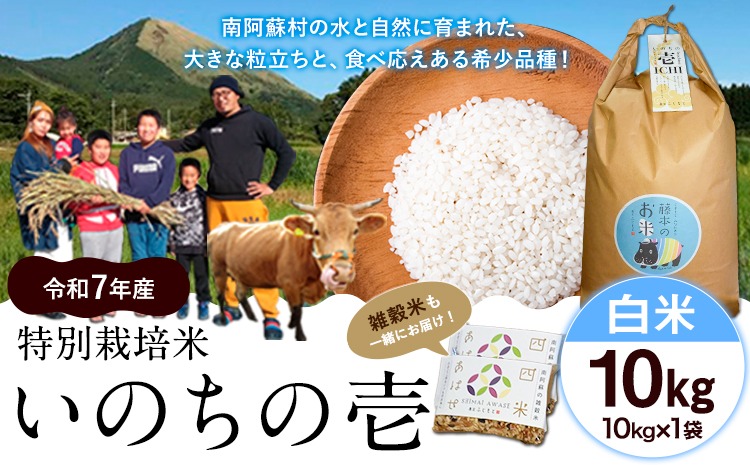 新米 令和7年産 特別栽培米 いのちの壱(白米)10kg×1 雑穀米付き《10月中旬-11月下旬頃出荷》 熊本県 南阿蘇村 熊本県産 虹色のかば 雑穀米---sms_inci6_k1011_r7_33500_h10kg---