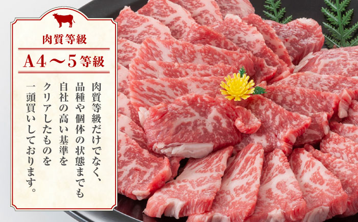 【数量限定】【3回定期便】熊本県産 黒毛和牛 もも 食べ比べ セット 約1kg【九州食肉産業】 ブロック 国産 A4 A5 山鹿  [ZDQ056]