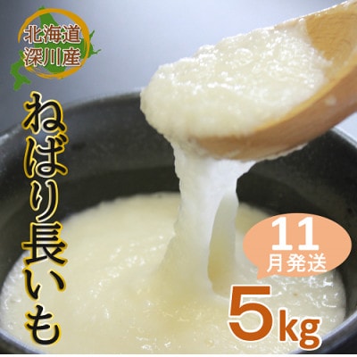 ≪令和7年産先行受付≫北海道深川市産　ねばり長いも　5kg【配送不可地域：離島】【1305665】