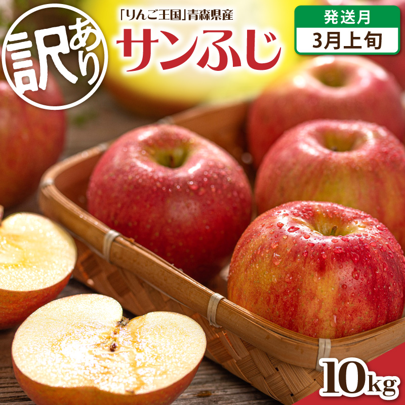 【2027年3月上旬発送】【訳あり】りんご 約10kg サンふじ 青森産