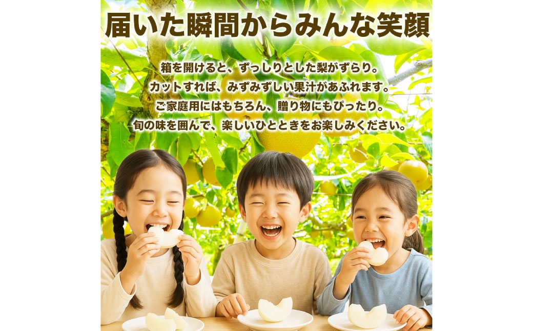 各種梨おまかせ幸水豊水秋月新高新興秋麗甘太凜果にっこり愛宕約5kg（6～18玉）