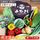 【12回定期便】＜有機野菜 京野菜の京都やおよし＞ 野菜詰め合わせ セット 1年間 毎月お届け 朝堀 京たけのこ 付き（3〜5月のうち1回）※北海道・沖縄・離島への配送不可