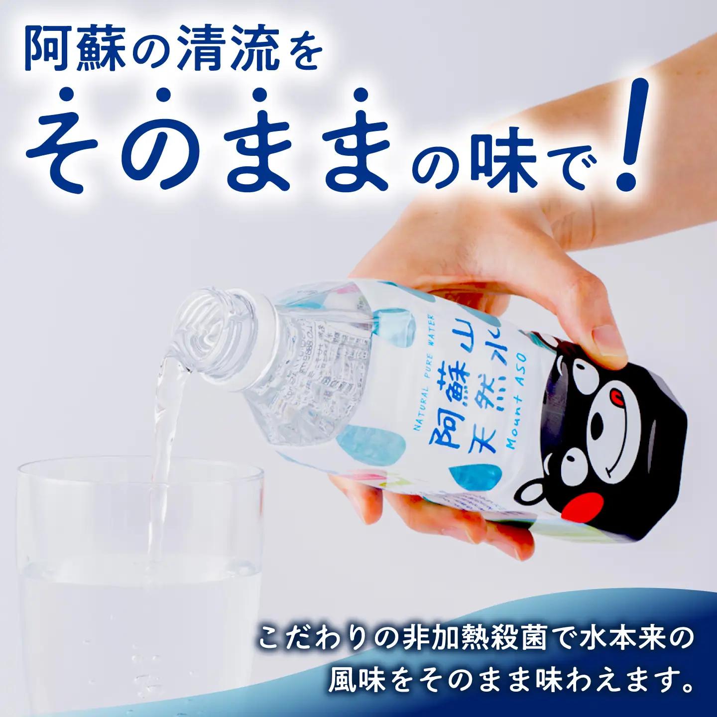 熊本 阿蘇山天然水 500ml × 24本 2ケース（計48本） 天然水 水 ミネラルウォーター 保存 2年 【丸富産業株式会社】[AYDB003]
