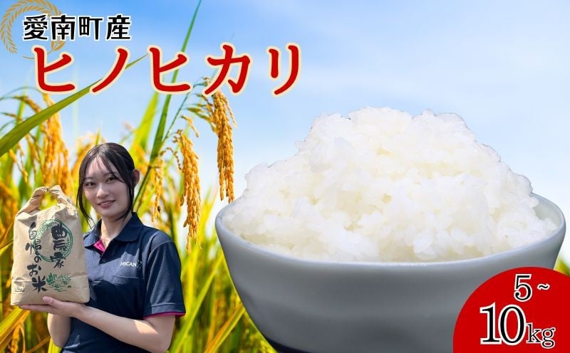 
                  【 令和7年産 】 令和7年産 ヒノヒカリ 5kg/10kg 米 お米 愛南町産 白米 精米 ヒノヒカリ 人気 低温 貯蔵庫 産地直送 国産 農家直送 期間限定 数量限定 特産品 こめ コメ 令和7年度産 2025年産 国産米 おいしい おにぎり 贈答品 プレゼント 愛南町青果市場 青果市場 愛南町 愛媛県
                