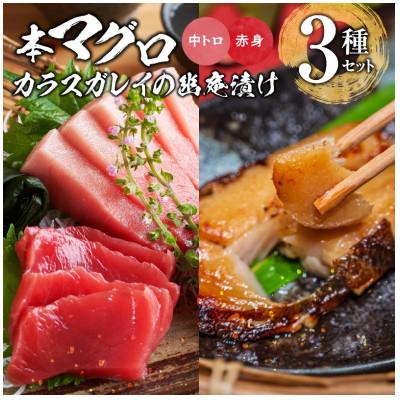ふるさと納税 久留米市 国産本マグロとカラスガレイの幽庵漬け詰め合わせ　3種セット