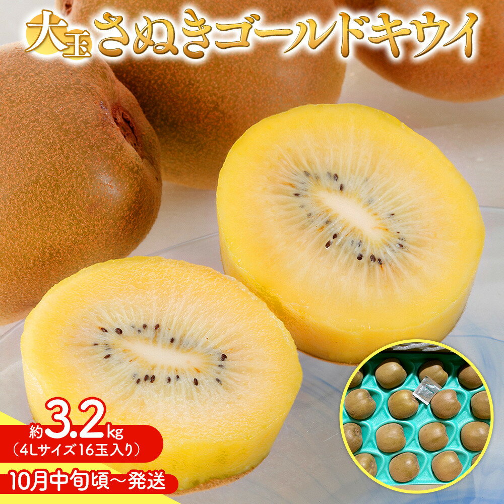【ふるさと納税】【10月中旬頃～発送】さぬきゴールドキウイ 大玉 約 3.2kg | キウイ さぬきゴールド 大玉 ゴールド　くだもの 果物 フルーツ スイーツ 特産品 デザート 旬 期間限定