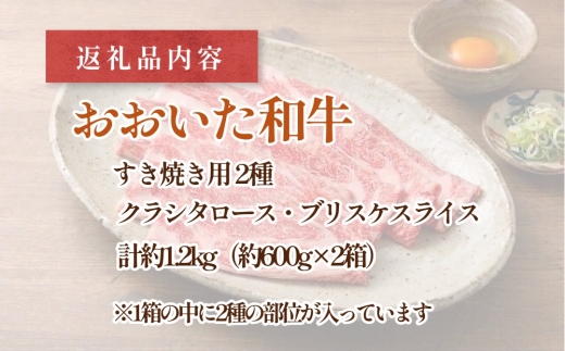 おおいた和牛すき焼き用 2種 計約1.2kg（約600g×2箱）（クラシタロース・ブリスケスライス）