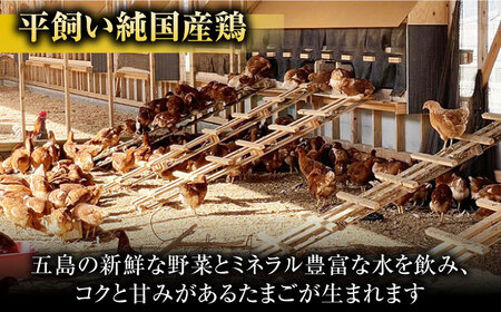 【お得な箱入り】平飼たまご ファイブエッグ M～Lサイズ 30個 / 5EGG 卵 赤玉子 五島市 / 五島列島大石養鶏場[PFQ035]