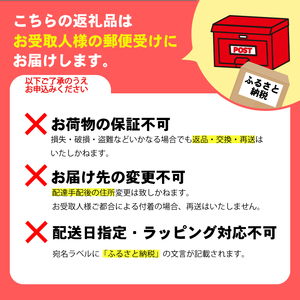 わかめ 300g 2026年10月より順次発送 湯通し塩蔵 わかめ