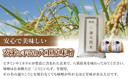 【令和8年産 新米】八重原産コシヒカリ 玄米「謙太郎米」10kgと 大桂商店 信州味噌「八重原味噌」1kg セット｜特別栽培米（減農薬・減化学肥料栽培）【太陽と大地】