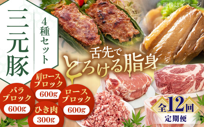 
                  【全12回定期便】平田牧場 4種セット《喜茂別町》【平田牧場】 肉 豚肉 ブロック ステーキ ステーキ用 ロース ロースステーキ 北海道 平田牧場 三元豚 セット [AJAP053] 348000 348000円
                