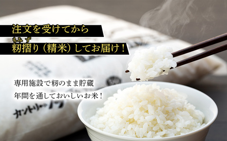 米 定期便 コシヒカリ 10kg 3回 長野 上伊那産 お米 長野県産 こしひかり 5キロ 白米 精米 信州産 特産 産地直送 おすすめ こめ コメ おこめ 送料無料 長野県 箕輪町 定期 3ヶ月