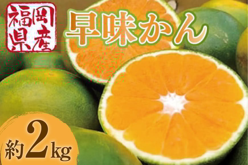 
            【期間限定発送】 みかん 早味かん 約 2kg [南国フルーツ 福岡県 宇美町 um40azo970030] 福岡県産 ミカン 早生みかん 早生ミカン フルーツ 果物 くだもの
          