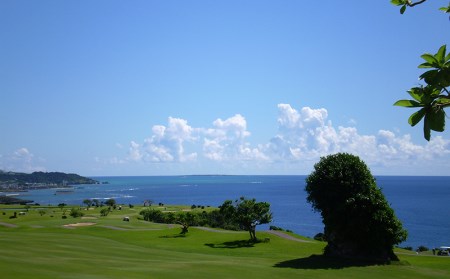 【ザ・サザンリンクスリゾート】 宿泊、ゴルフ利用クーポン30.000円分