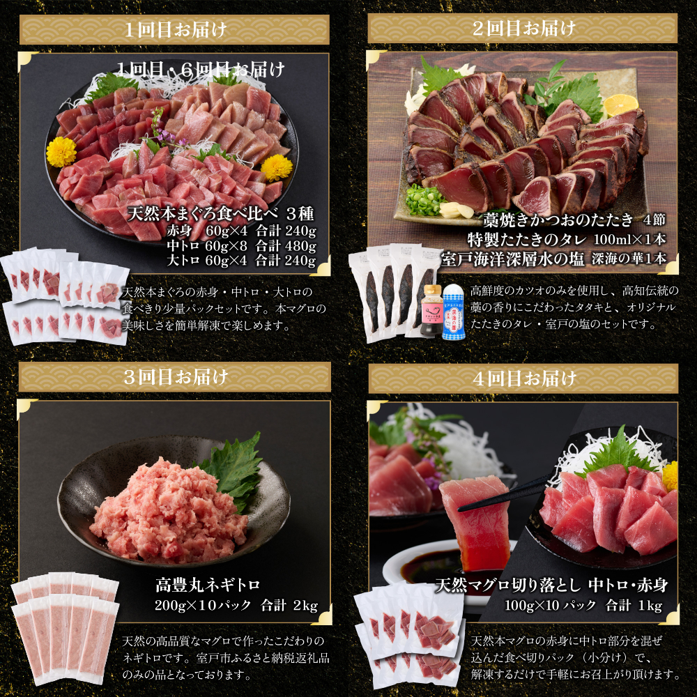 ＼贅沢定期便 ≪ 力 ≫／ 全6回【厳選 高知の海鮮セット】_イメージ3