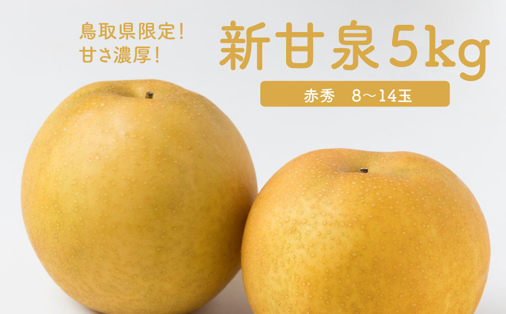 
            【数量限定】新甘泉 5kg 8玉～14玉 赤秀 JA鳥取いなば 8月下旬から順次発送【もぎたて 旬 フルーツ 果物 オリジナルブランド 新品種 赤梨 梨 シャキシャキ 新甘泉】 ＜Y024＞
          